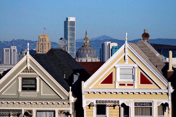    -     Painted Ladies