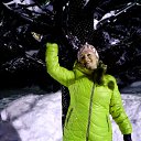 22.01.2017 �� ������� ���� ����������