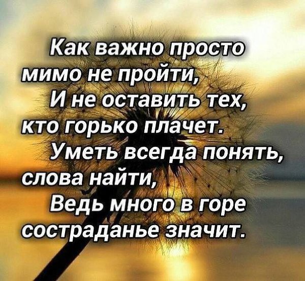 Берегите близких: истории из жизни, советы, новости, юмор и картинки — Все посты | Пикабу