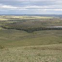 ���� �������, ������������, 49 ��� - ��������� 7 ������ 2017