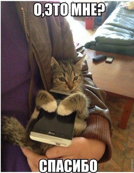 ��� �������� �������� - 11 �������� 2016 � 17:18