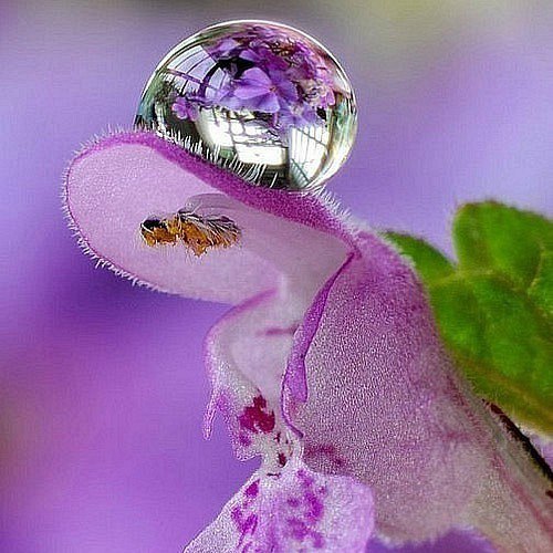  ! - 21  2016  08:49
