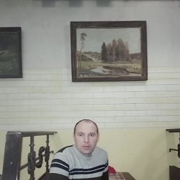 ���� ������, �����������, 41 ��� - ��������� 31 ������� 2016