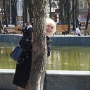  ,  , 62  -  22  2017    