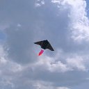 ���� �������, ������, 48 ��� - ��������� 23 ������ 2017 � ������ ���� ����������