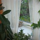 ���� ������, �����������, 53 ���� - ��������� 10 ������� 2016 � ������ ���� ����������