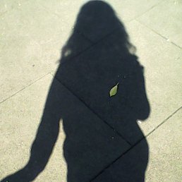 �, �������, 28 ���