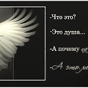  ,  -  2  2017    