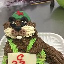  , -, 55  -  23  2017    