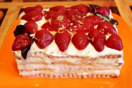     .   - 24 .  - 2/3   - 250 . ...