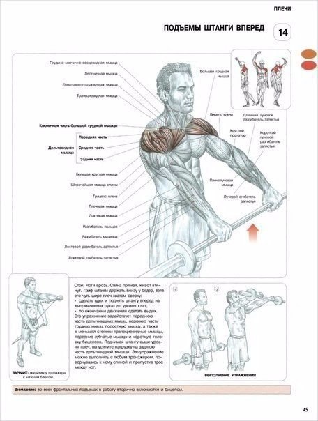    .    ,       ... - 4