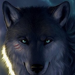 ���� ���������, ���� - ��������� 7 ����� 2017