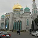 ���� Ramil, ������, 39 ��� - ��������� 30 ������ 2016 � ������ ������� �������