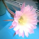 ���� ����, ������, 62 ���� - ��������� 22 ������� 2016 � ������ ���� ����������