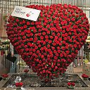 ���� Narek, ������, 40 ��� - ��������� 9 ������ 2017