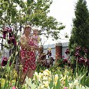 ���� ����, �������, 73 ���� - ��������� 5 ������� 2017 � ������ ���� ����������