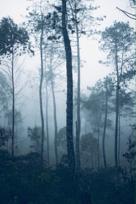 ����������� ��� - 6