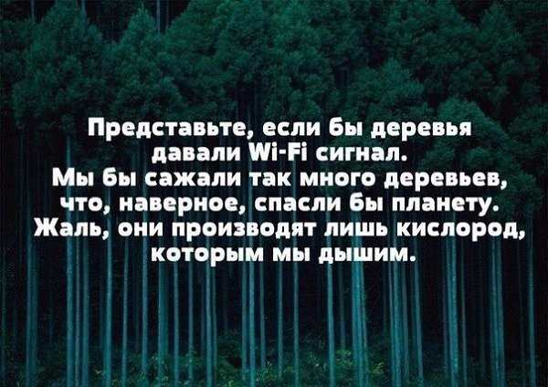 LIFE -  - 4  2016  08:27