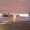 ���� �������, ������, 36 ��� - ��������� 8 ������� 2016 � ������ ���� ����������