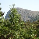 ���� ��������, ������, 71 ��� - ��������� 12 ������� 2016 � ������ �������...������� ������� � �����...� ����� ����� �������...�