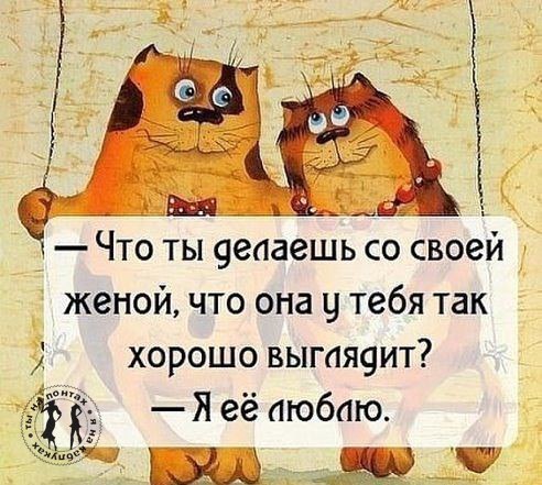   ,   .© - 13  2016  13:59