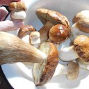 ���� ���������, ������, 54 ���� - ��������� 10 ������� 2016 � ������ ���� ����������