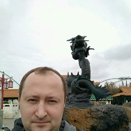 Pall, ������, 40 ���