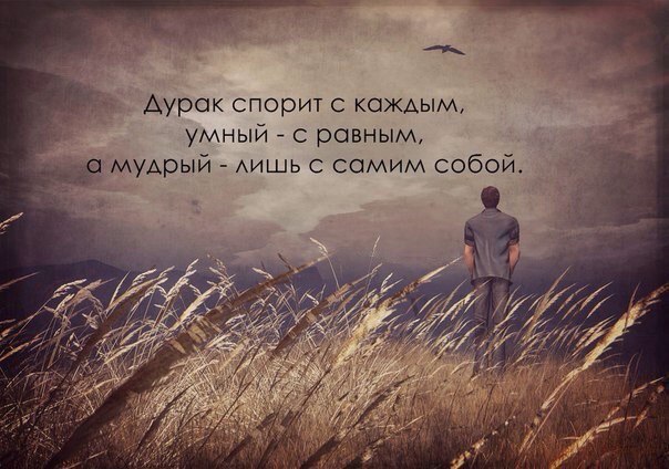  | ,  - 11  2017  04:30