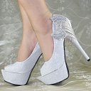 ���� ����, ������ - ��������� 24 ����� 2017 � ������ ������ ��������