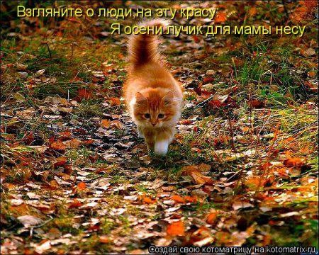 �� ���������� �������� ���� ������ ���� � ���� ��������� �����. ����� ����� ���������� ��� ����� ... - 2