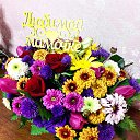 ���� �������, �����������, 54 ���� - ��������� 5 ������� 2016