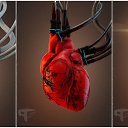 ���� Ameets21, ����, 41 ��� - ��������� 13 ������ 2016 � ������ ���� ����������