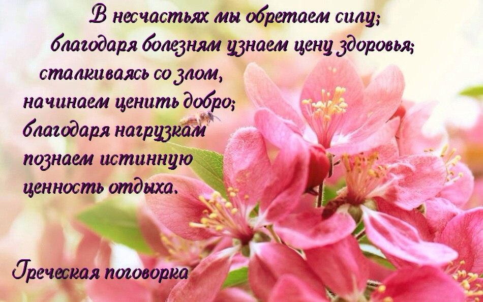   - 17  2016  11:20