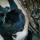 ���� Lena, ����, 39 ��� - ��������� 15 ������� 2016 � ������ ���� ����������