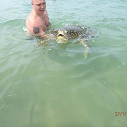 ������, ������, 47 ���