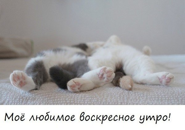 С добрым утром,Красноярск! Всем отличного настроения!