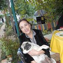 � ������ �� ������� ���� ����������