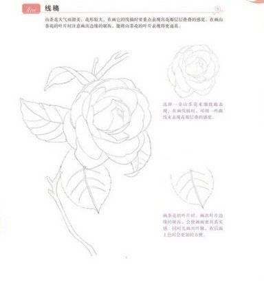 #���������_�����@ele_art_school. #�������@ele_art_school ������ ������ - 2