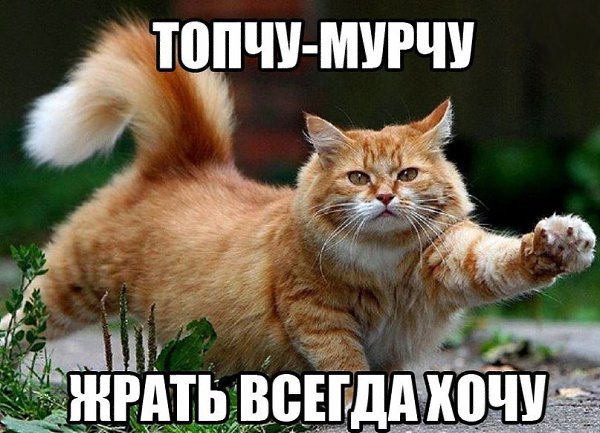 ������� ����� ����� :-) - 26 ����� 2017 � 13:04
