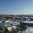 ���� ����, ������, 49 ��� - ��������� 10 ������ 2017 � ������ ���� ����������