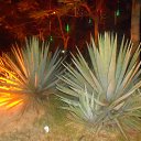 ���� ����, ����� - ��������� 13 ������� 2017 � ������ ���� ����������