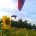 ���� �������, ����� - ��������� 5 ����� 2017 � ������ �������