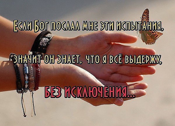 .https://fotostrana.ru/away?to=/sl/kxC2 - 16  2016  21:48