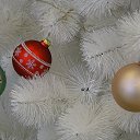 ���� �����, �����, 61 ��� - ��������� 24 ������� 2016 � ������ �������