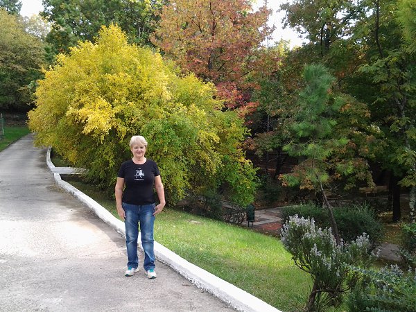  - 13  2016  14:09 - 2