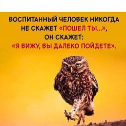 ���� �������, ������, 71 ��� - ��������� 14 ������� 2016