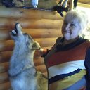 ���� ����, ������, 79 ��� - ��������� 8 ������ 2017 � ������ ������ ��������