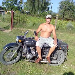 ����, �����-���������, 59 ���