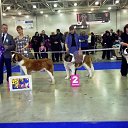 ������������ ��� *���������* 2012, ������ �� ������� ���� �������