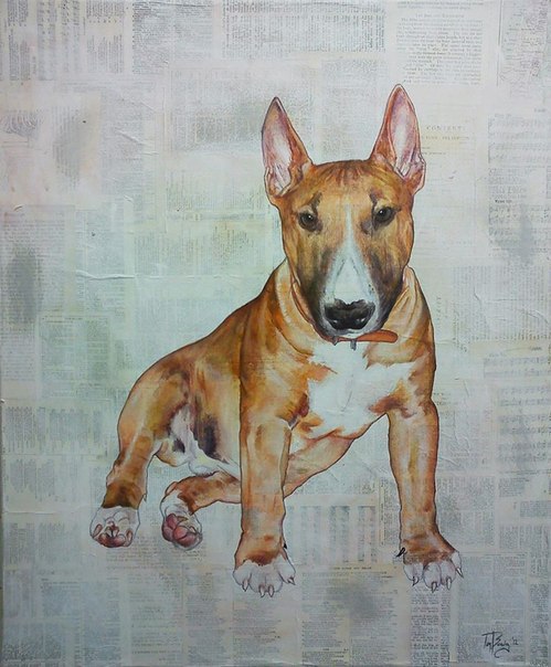 Бультерьеры на газетной бумаге от художника Т. Бакли - 6